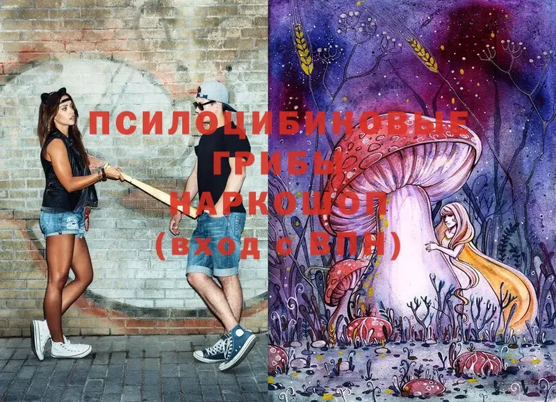 Галлюциногенные грибы MAGIC MUSHROOMS  сайты даркнета как зайти  Реутов  купить закладку 